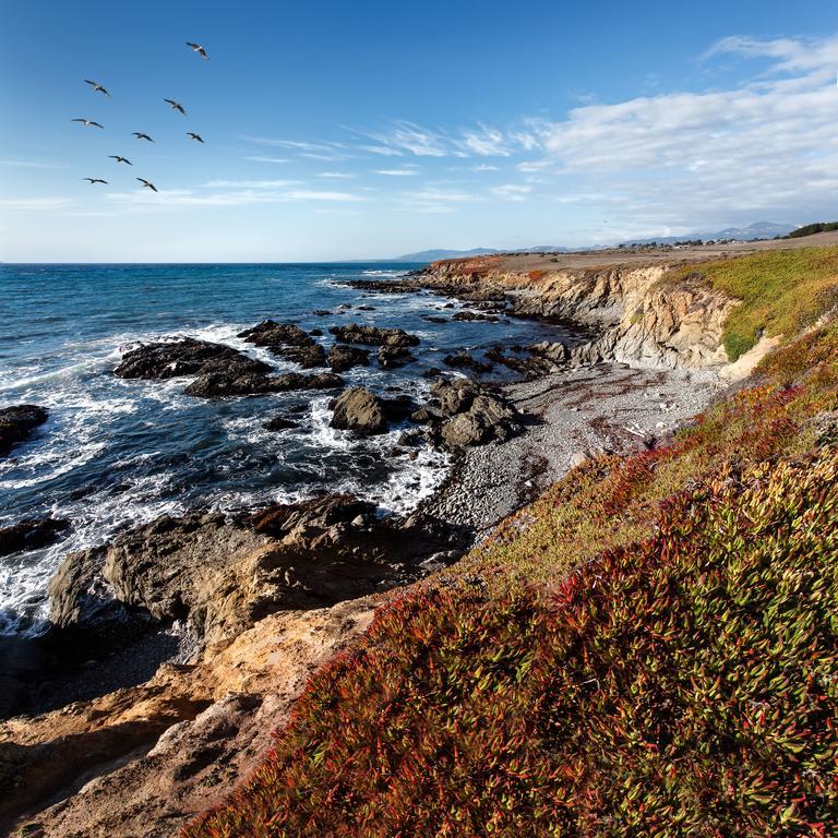 Moonstone Cottages Cambria Eksteriør bilde